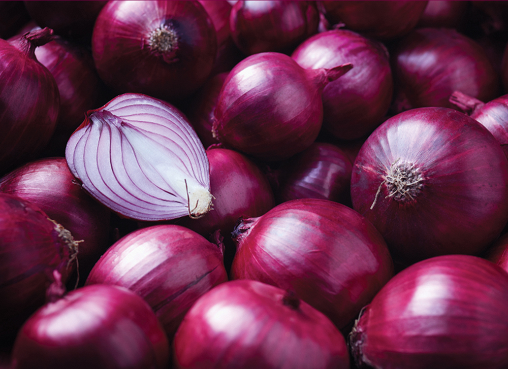 Bulk of onion 